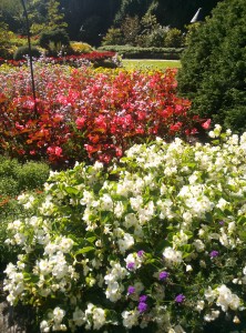 Butchard Gardens, Victoria,BC