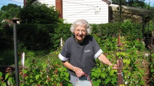 Kay Ferguson, 88 yrs old, June 2008. Picking raspberries.