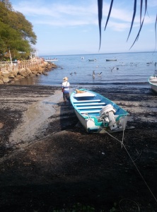 Pier and harbor in Quimixto