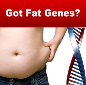 Do fat-genes make you a victim?